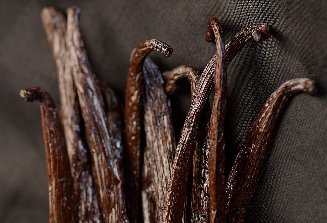Bourbon vanilla pods standing upright, 18-19 cm grade